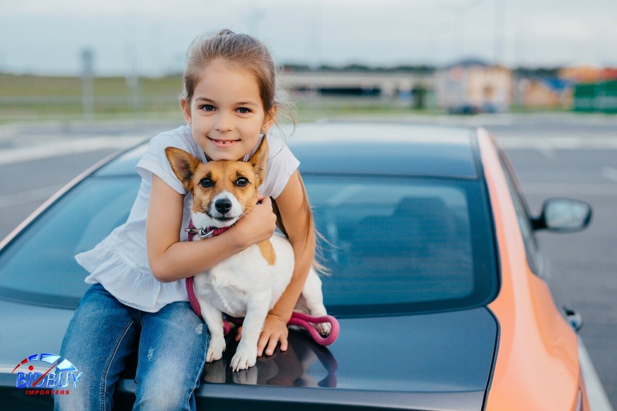 A girl hugs a dog ready for car transport between Canada and the US